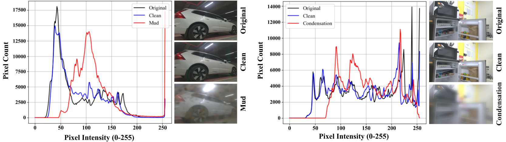 Dataset Analysis